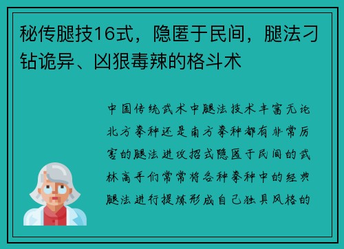秘传腿技16式，隐匿于民间，腿法刁钻诡异、凶狠毒辣的格斗术