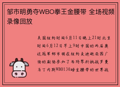 邹市明勇夺WBO拳王金腰带 全场视频录像回放
